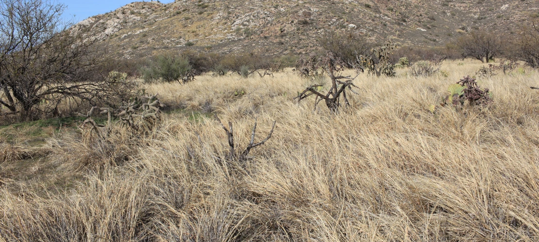 Repeat Photography 231.1 - March 2013