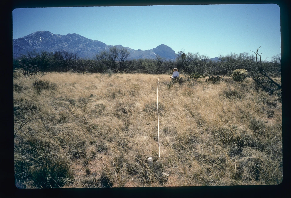 12B_10W_from_0_1997_Mar_02.jpg