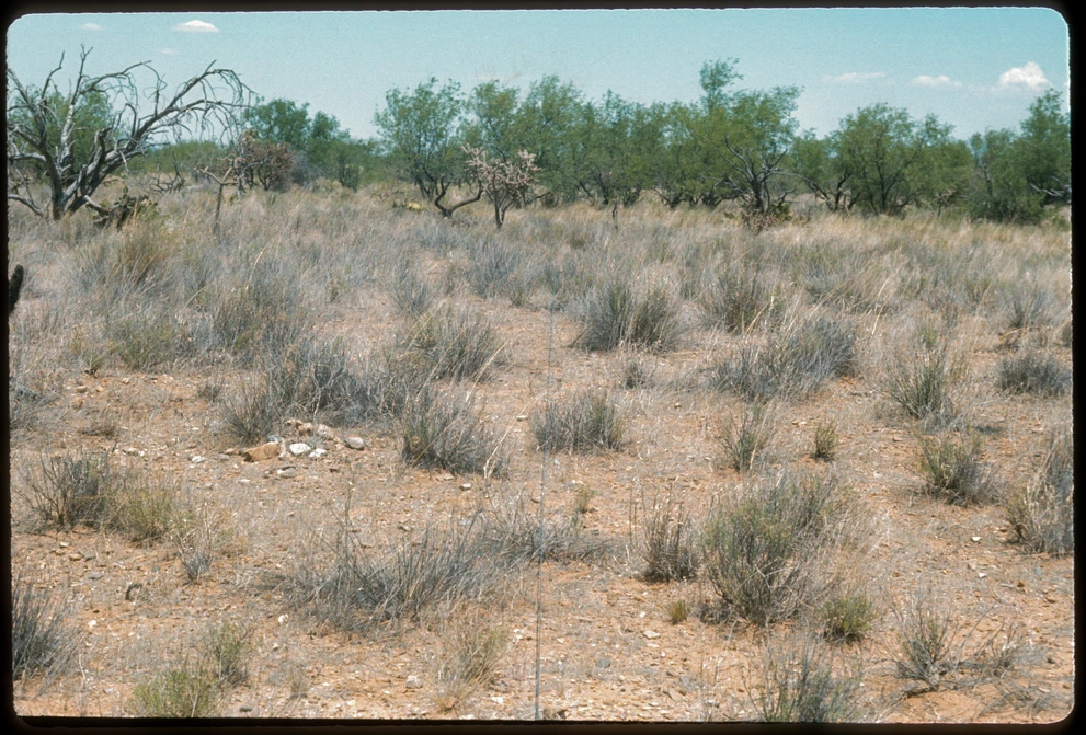 12B_10W_from_80_1975_Jun_09.jpg