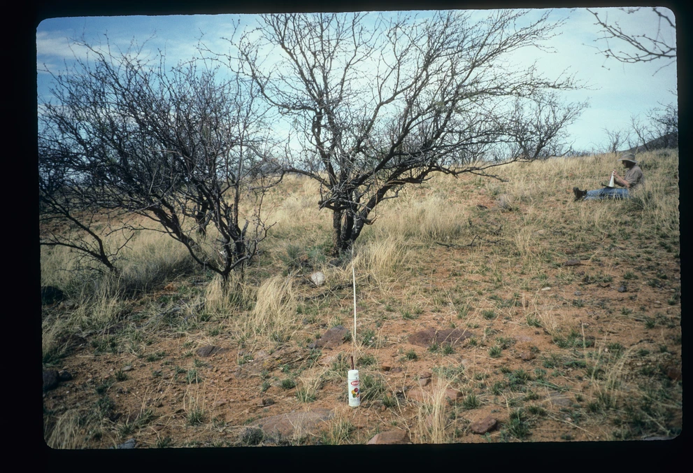 22_3_from_0_1997_Mar_17.jpg