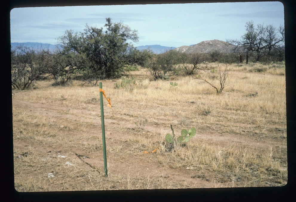 6B_56_from_0_1997_Jan_25.jpg