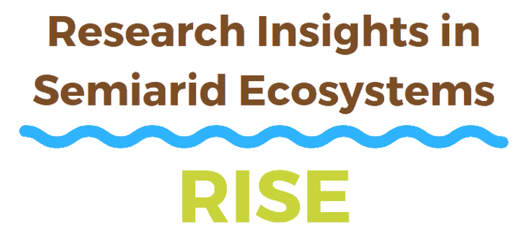 RISE Symposium logo