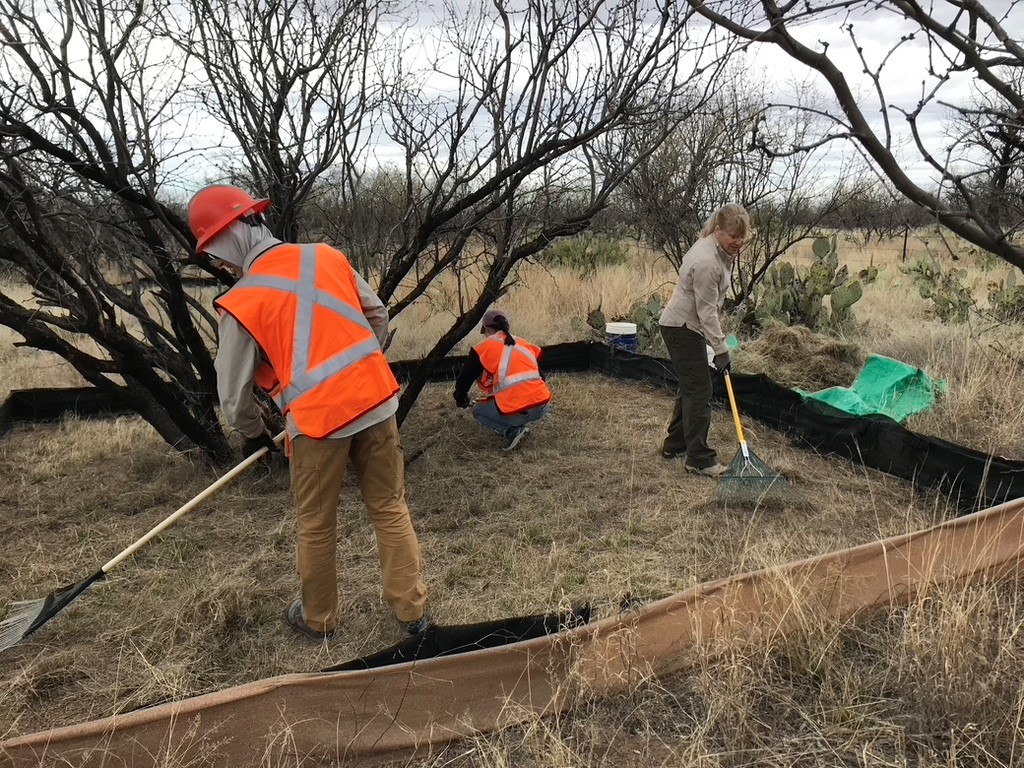 D-DIRT Turns 10! | Santa Rita Experimental Range