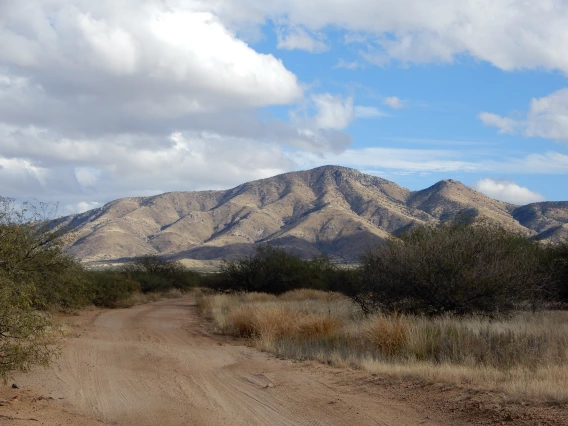 View of the Santa Rita Mountains from the SRER