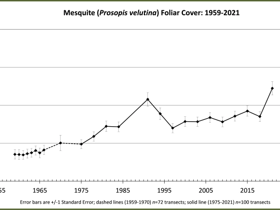 Mesquite Foliar Cover trend from 1959 to 2021