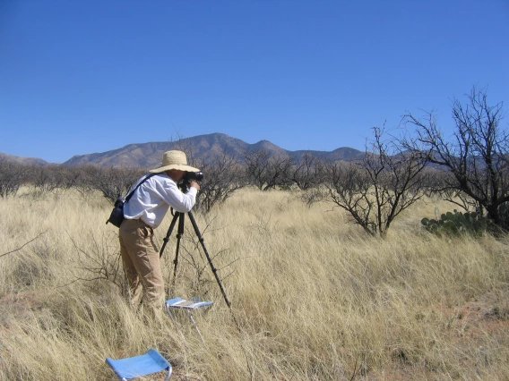 Repeat photography at the Santa Rita Experimental Range