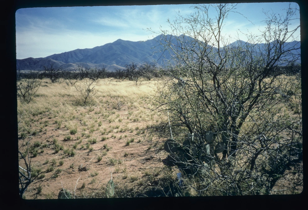 2N_11E_from_0_1997_Mar_14.jpg