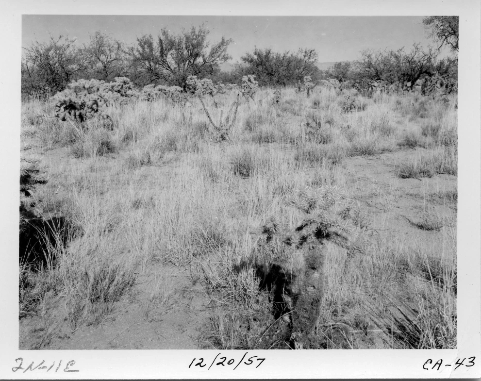 2N_11E_from_100_1957_Dec_20.jpg