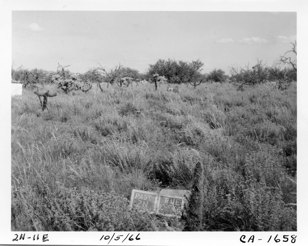 2N_11E_from_100_1966_Oct_05.jpg