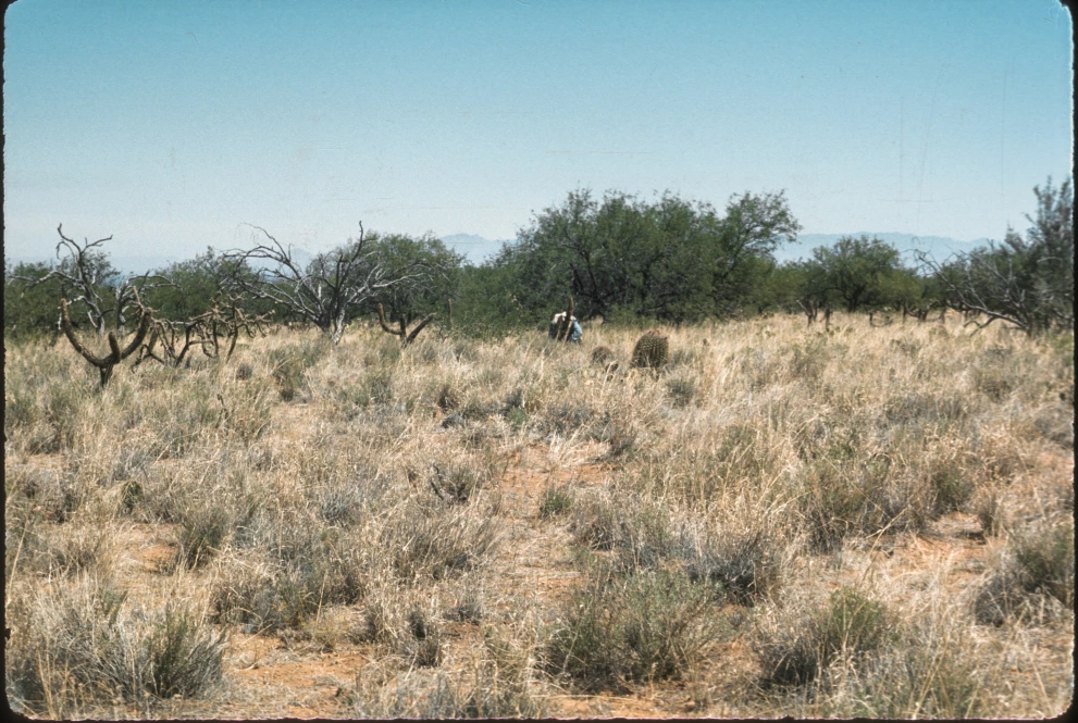 2N_11E_from_100_1975_Jun_05.jpg