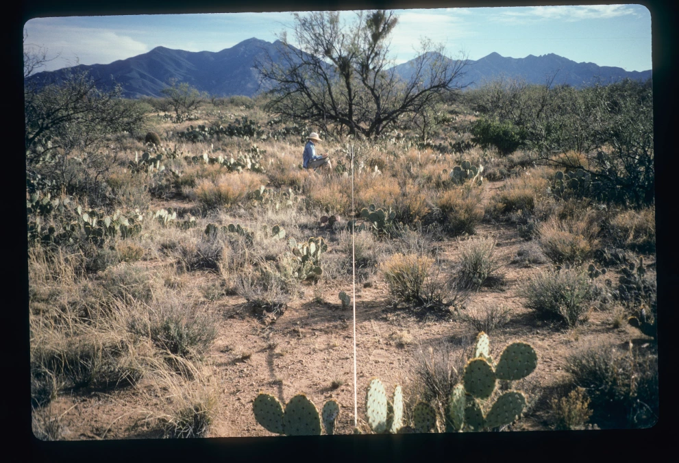 2N_1W_from_0_1997_Feb_08.jpg