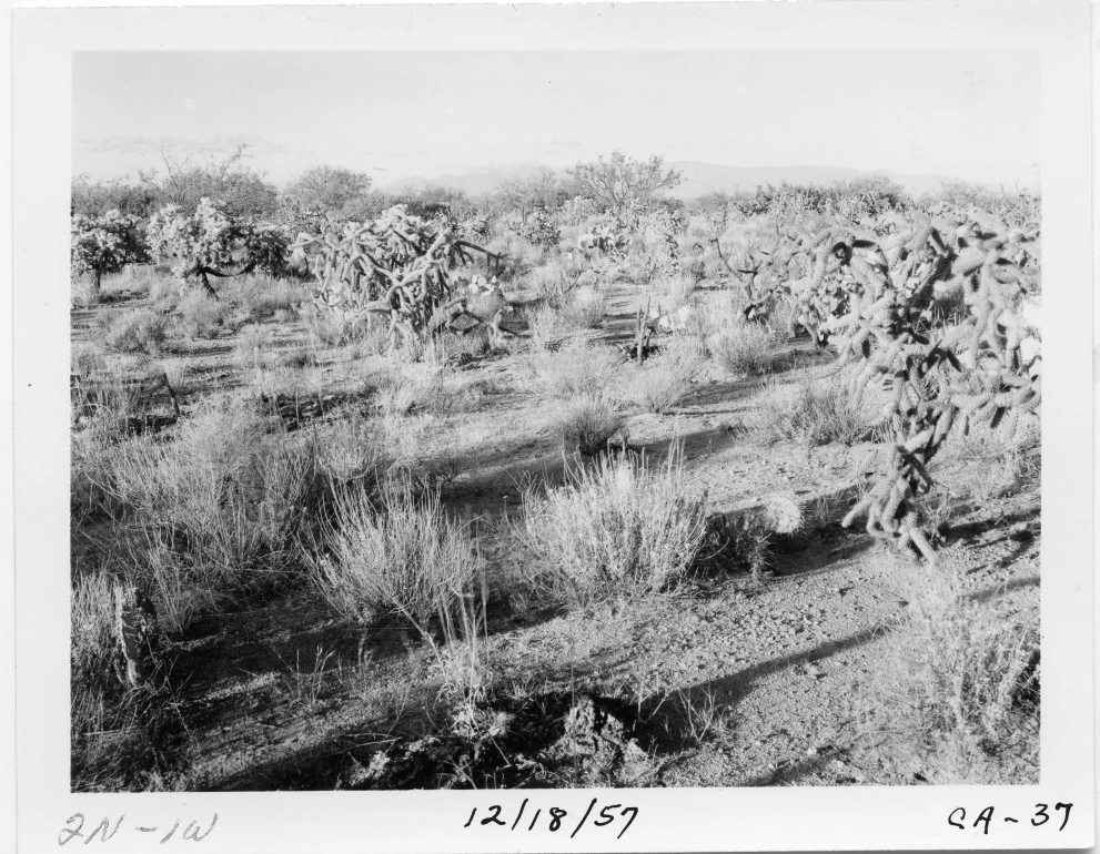 2N_1W_from_100_1957_Dec_18.jpg