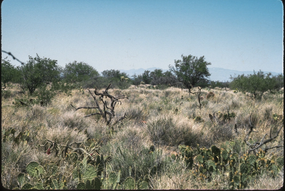 2N_1W_from_100_1975_Jun_04.jpg