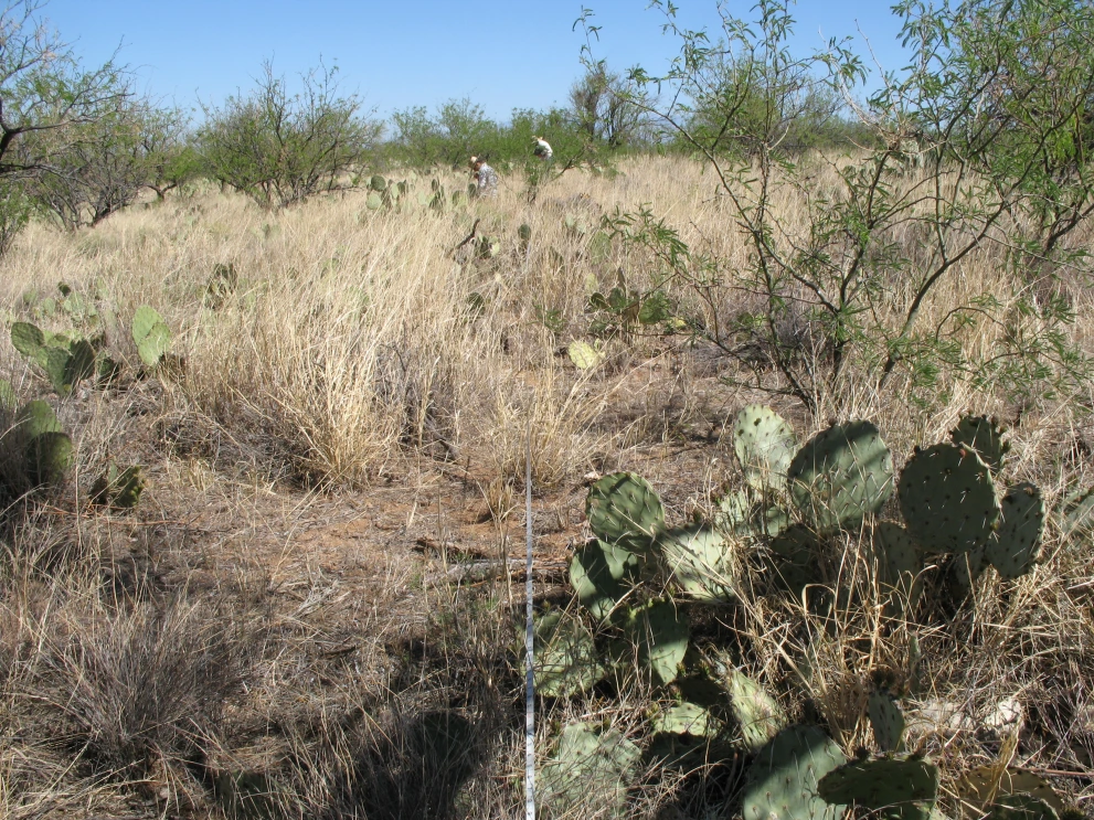 2N_1W_from_100_2009_Apr_13.JPG