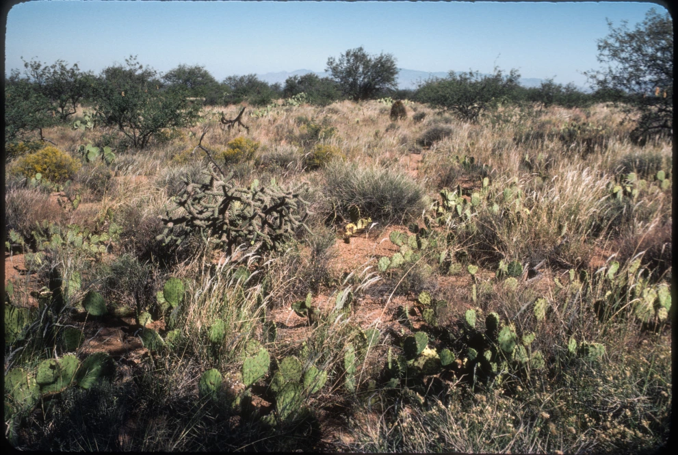 2N_1W_from_90_1982_Oct_07.jpg
