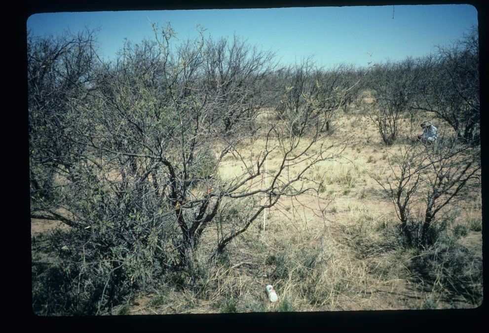 2S_8_from_0_1997_Mar_18.jpg