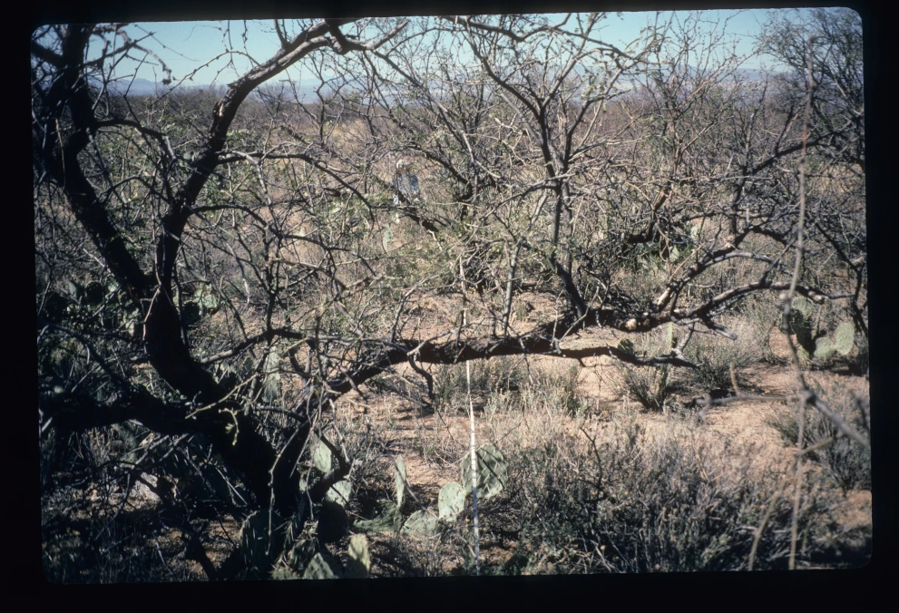 6A_36_from_0_1997_Feb_14.jpg