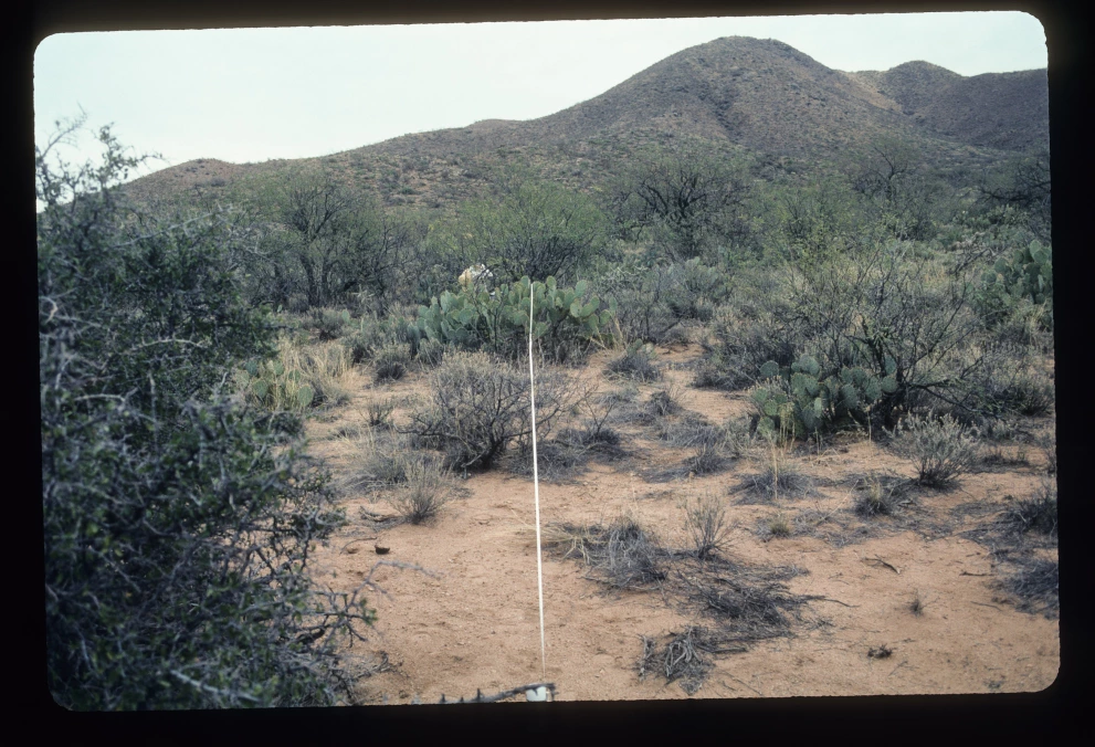 6A_36_from_100_2003_Mar_03.jpg