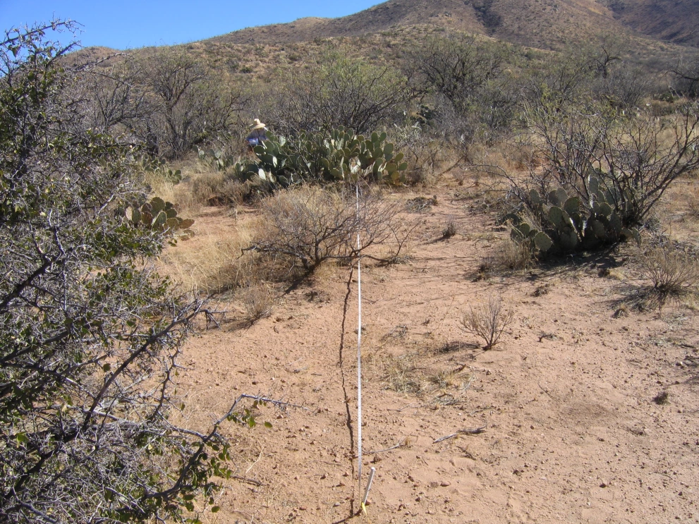 6A_36_from_100_2006_Jan_31.JPG