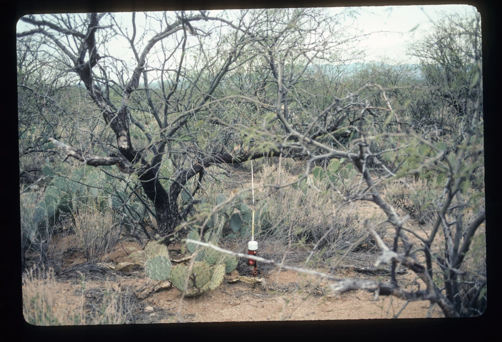 6A_36_from_10_2003_Mar_03.jpg