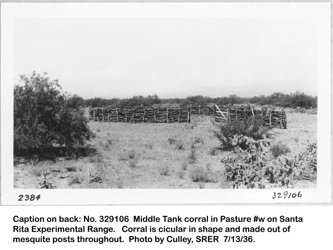 1936_07_13_329106__Middle_Tank_mesquite_corral