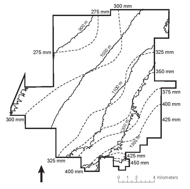 Elevation and annual precipitation gradients on the SRER: elevation increases from about 900 to 1,400 m, and average annual precipitation increases along this gradient from 275 to 450 mm (McClaran 2003)