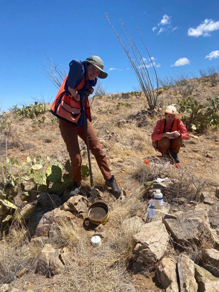 NEON technicians collect soils from a Distributed Base Plot during the T1 bout--transition from dry to wet season