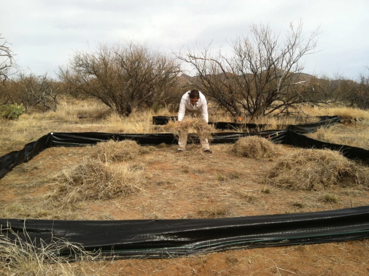 D-DIRT grass litter addition plot