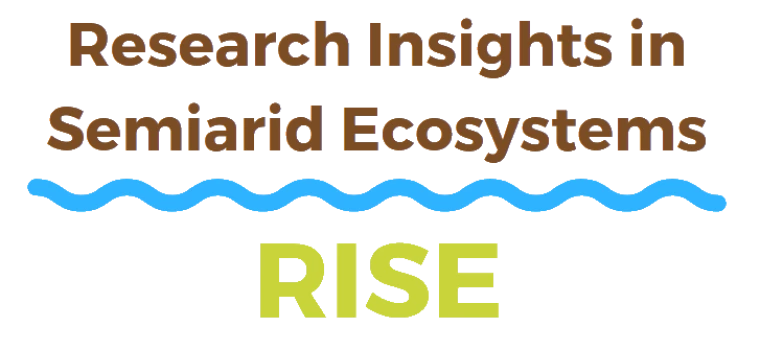 RISE Symposium logo