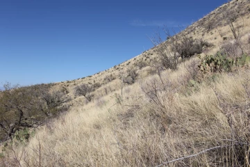 Photo Archive No. 072.1.2012.03