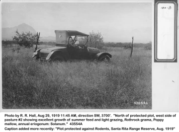 1919_08_29_43554A_prot_area_and_roadster