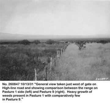 1931_10_13_260847_fence_comparison_Past_1_and_9