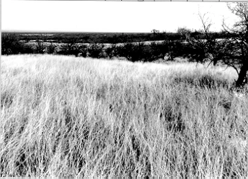 Photo Archive No. 060.1.1988.04