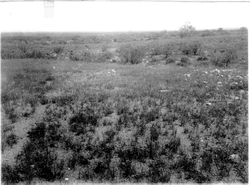 Photo Archive No. 060.1.1914.08