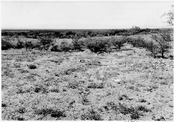 Photo Archive No. 060.1.1935.07