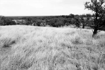 Photo Archive No. 060.1.2000.05