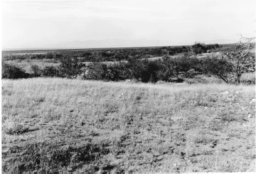 Photo Archive No. 060.1.1951.10