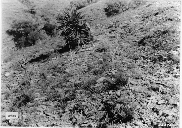 Photo Archive No. 066.1.1936.07 Photo Archive No. 066.1.1936.07