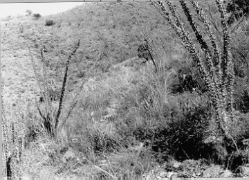 Photo Archive No. 066.1.1985.09