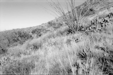 Photo Archive No. 072.1.2000.12