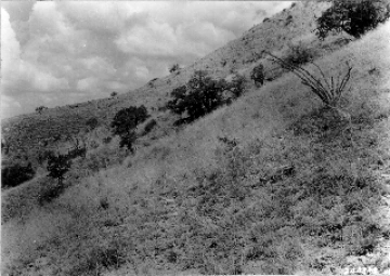 Photo Archive No. 072.1.1936.07 Photo Archive No. 072.1.1936.07