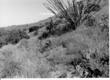 Photo Archive No. 072.1.1985.09