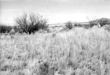 Photo Archive No. 078.1.1984.04
