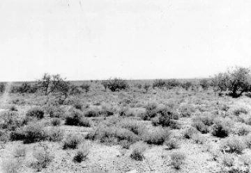 Photo Archive No. 078.1.1930.06