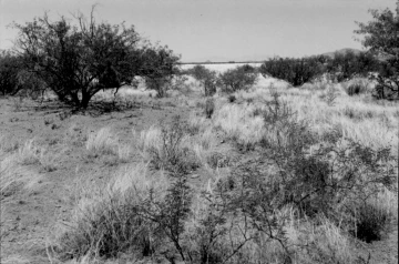 Photo Archive No. 078.1.2000.05