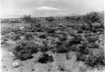 Photo Archive No. 078.1.1935.09