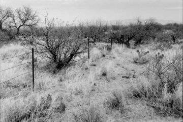 Photo Archive No. 093.1.2000.04