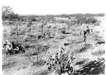 Photo Archive No. 093.1.1953.12