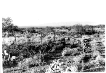 Photo Archive No. 093.1.1952.11