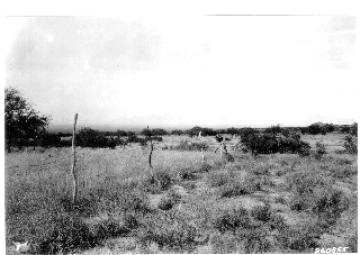 Photo Archive No. 093.1.1931.10